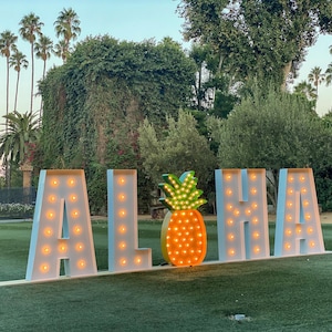 May include: White light-up letters spelling "ALOHA" with a pineapple in the middle. The letters are on a green grassy lawn.