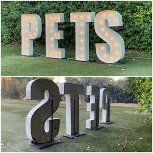 May include: White, illuminated letters spelling out "PETS" and "21" on a green lawn. The letters are made of plastic and have light bulbs embedded in them. The letters are used for decoration and are often used at parties or events.