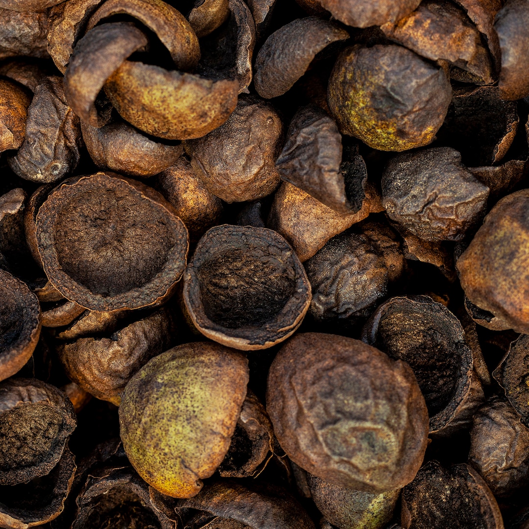 Curated visual reference: Picture Idea: Black Walnut Shell Juglans Nigra