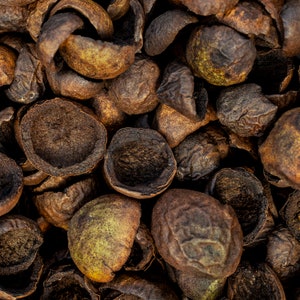 May include: Close-up of a pile of dried, brown, and green seed pods. The pods have a rough, textured surface and are open, revealing the inner cavity. The image is well-lit, highlighting the details of the pods.