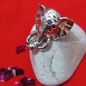 Real Magical Powerfull Ring 5500 Spells Wealth Money Success Lottery Win | Most Powerful & Divine