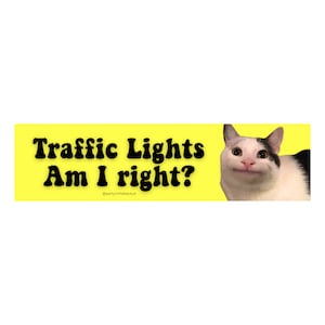 Traffic Lights Am I Right? Polite Cat Meme Funny Bumper Sticker