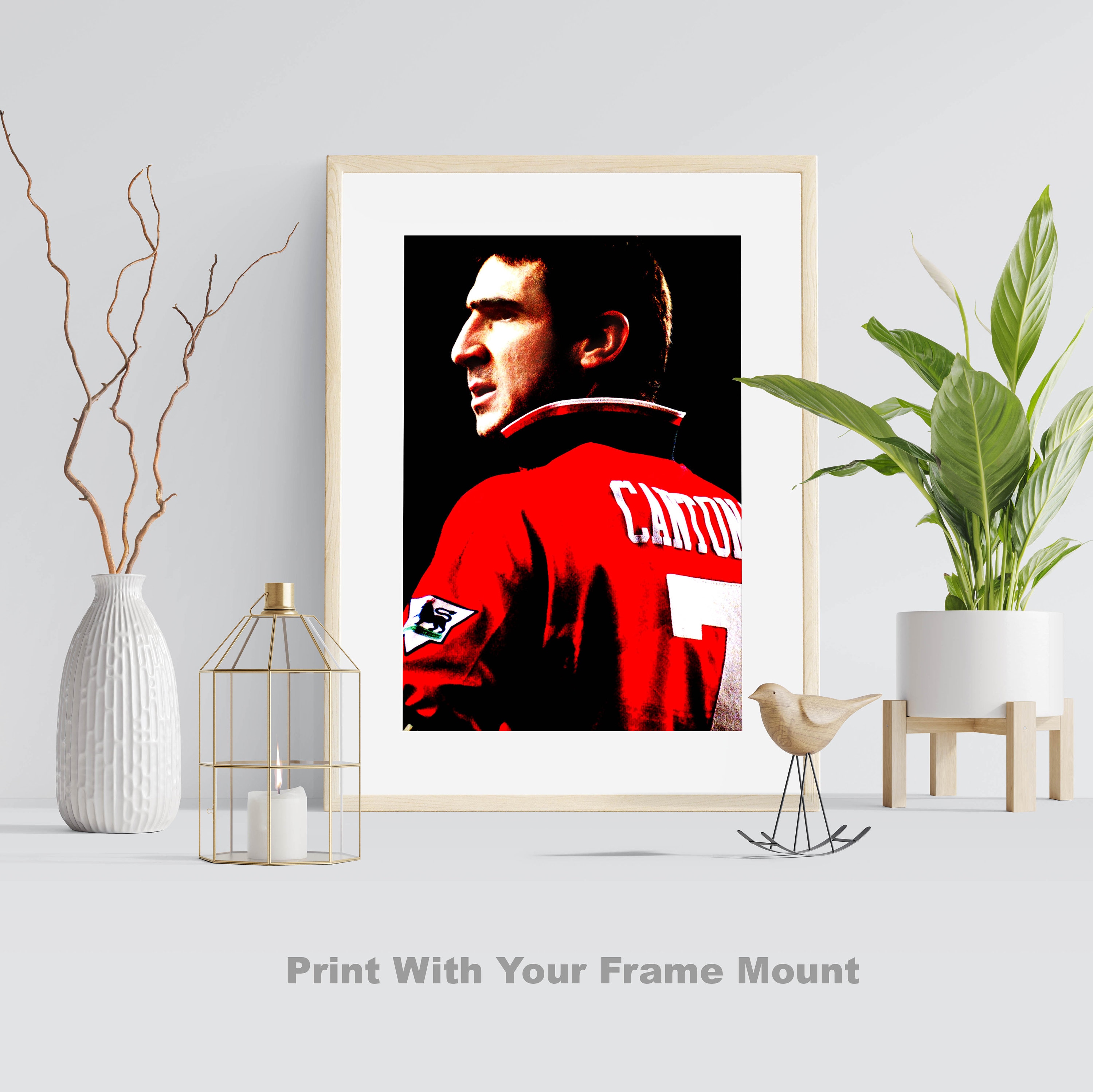 eric cantona football