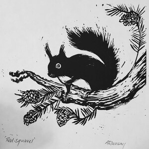 May include: Black and white linocut print of a red squirrel perched on a tree branch with pine cones and needles. The text "Red squirrel" is at the bottom left. Signed "ARamsay" at the bottom right.