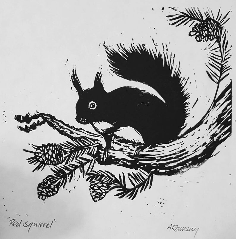 May include: Black and white linocut print of a red squirrel perched on a tree branch with pine cones and needles. The text "Red squirrel" is at the bottom left. Signed "ARamsay" at the bottom right.