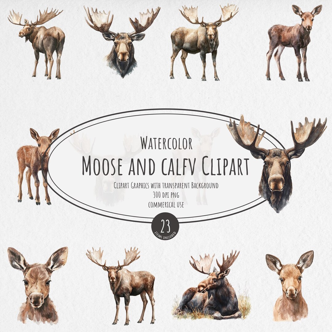 Watercolor Moose - Digital Cliparts in High Resolution, Instant ...