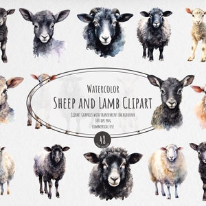 Clipart acquerello di pecora e agnello - Alta risoluzione, sfondo trasparente, download immediato per uso commerciale