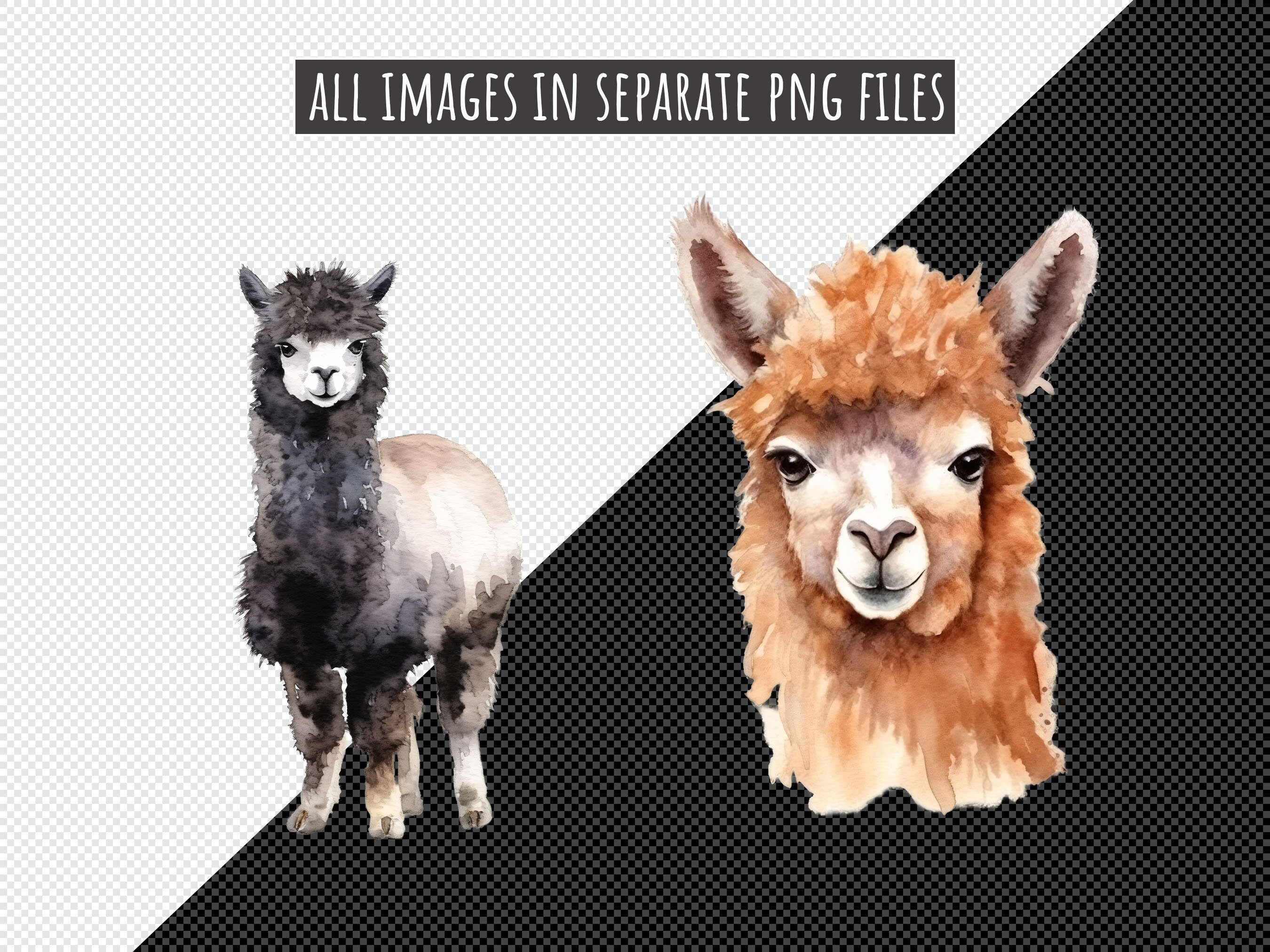 Watercolor Alpacas - Digital Cliparts in High Resolution, Instant ...