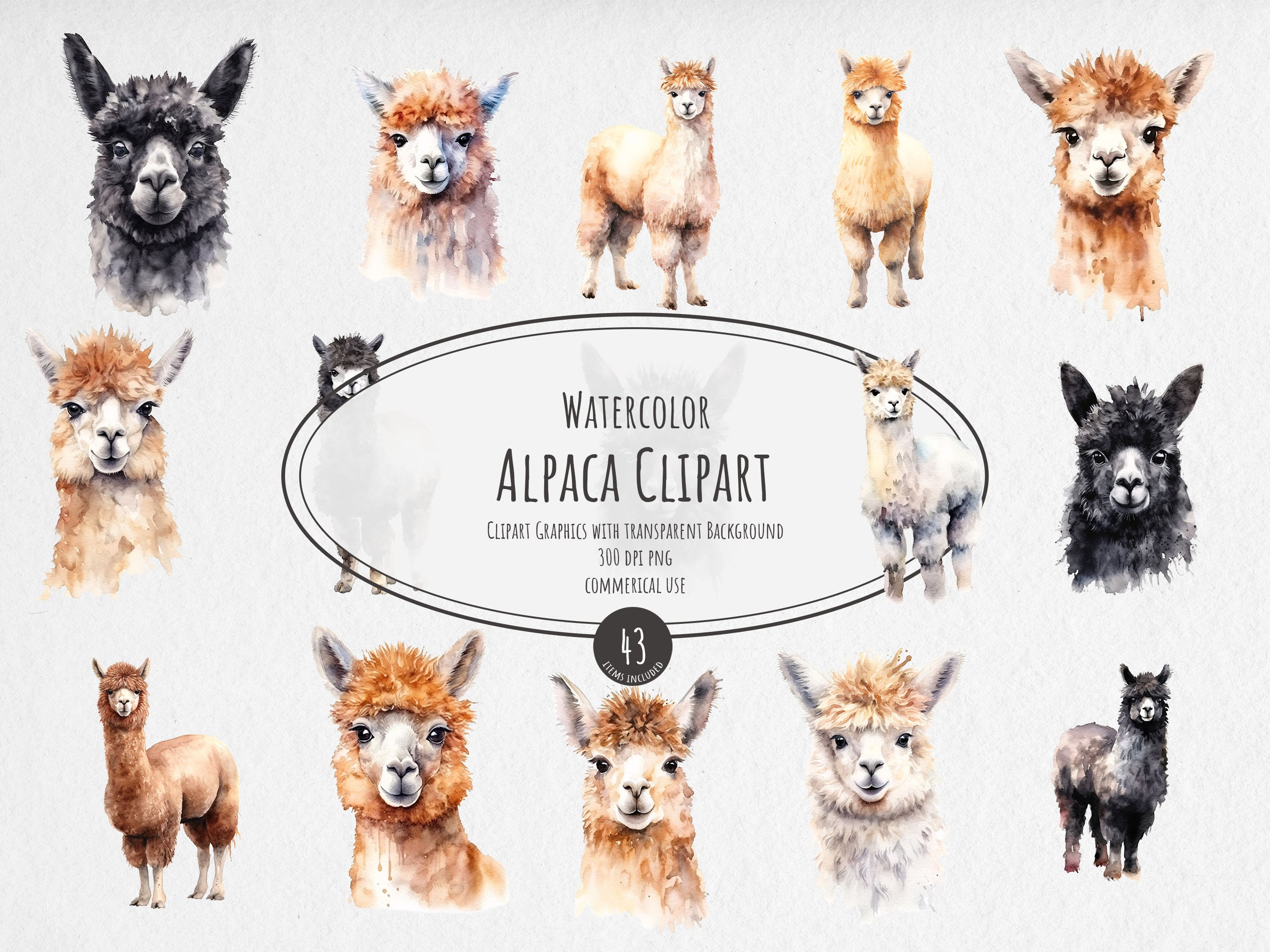 Watercolor Alpacas - Digital Cliparts in High Resolution, Instant ...