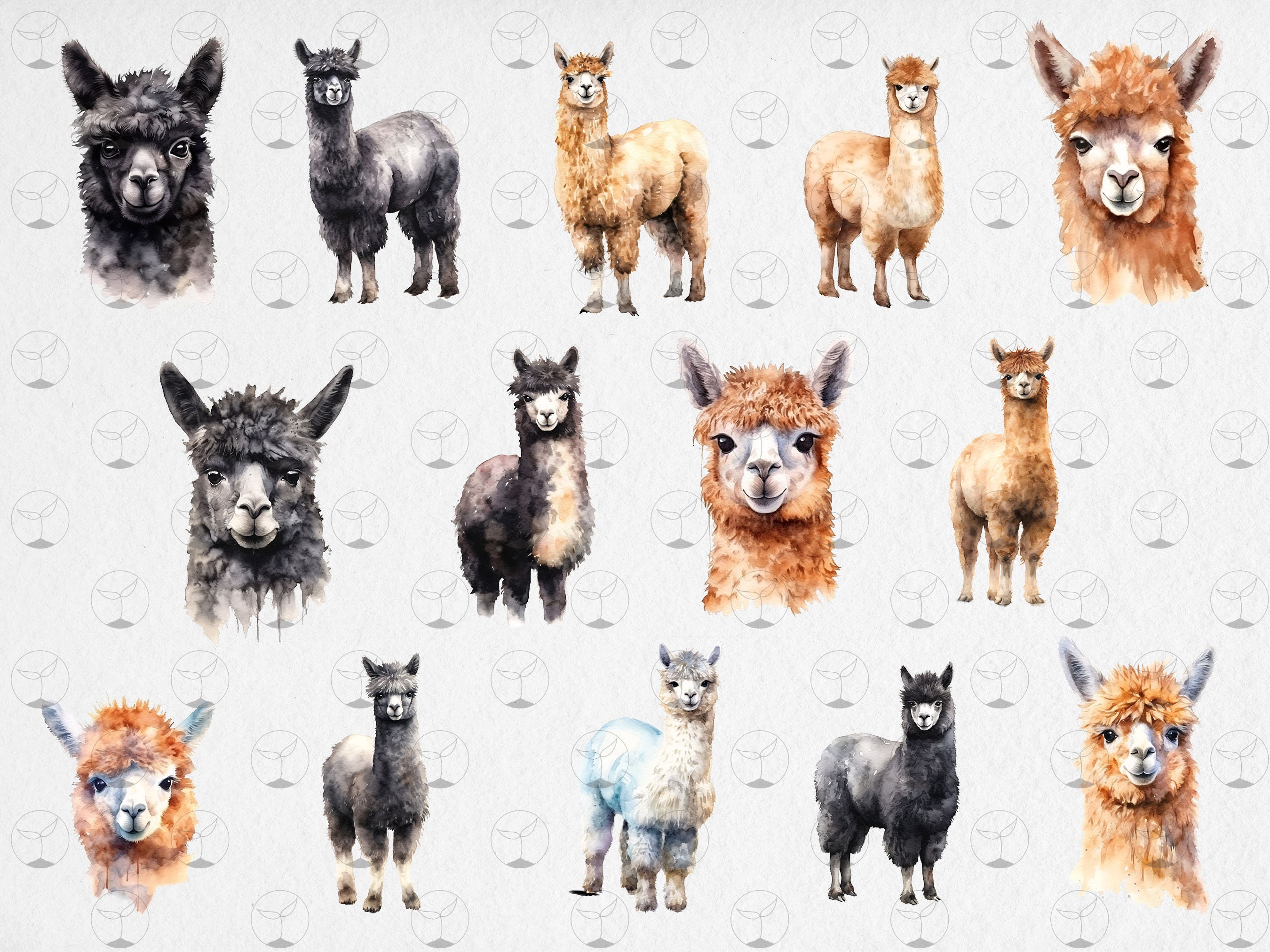 Watercolor Alpacas - Digital Cliparts in High Resolution, Instant ...