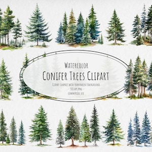 Clipart di conifere ad acquerello - Alta risoluzione, sfondo trasparente, download immediato per uso commerciale