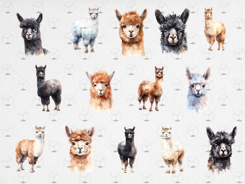 Watercolor Alpacas - Digital Cliparts in High Resolution, Instant ...