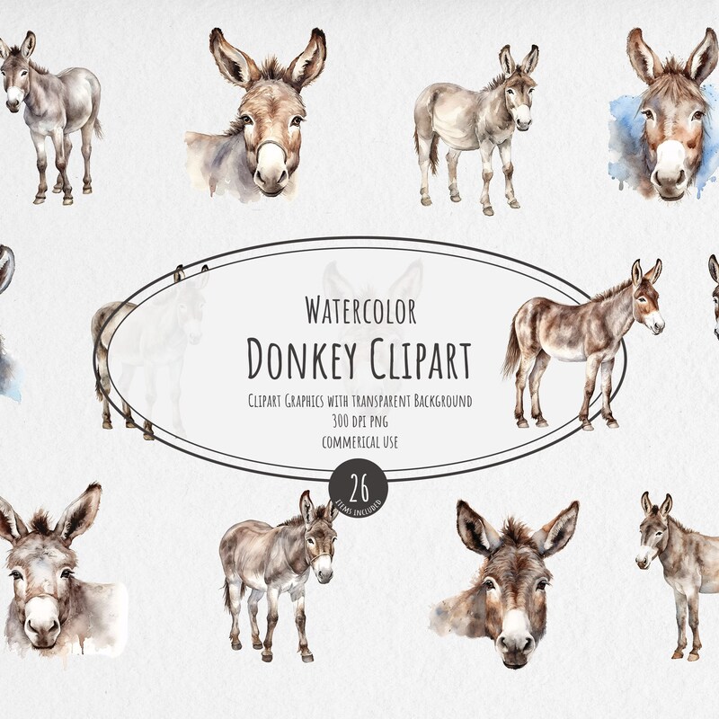 Watercolor Donkey - Etsy