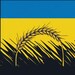 Матвій Matt i Катя Katya