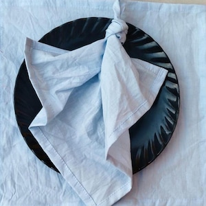 50 Pack Sky Blue Softened Cotton Napkins, Cocktail Napkins, Blue Cotton Cloth Napkins Party Table Napkins, Custom Size Napkins, Gift For Her