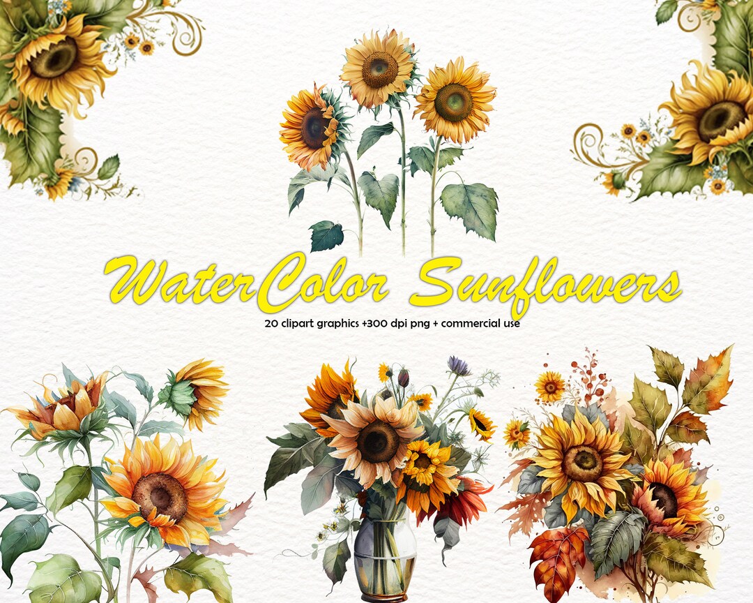 Watercolor Sunflowers Clipart - Fall Sunflower Floral Bouquets in PNG ...