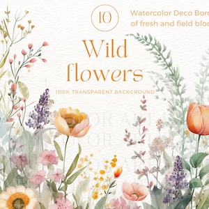 Bordas florais em aquarela - Flores silvestres - Bordas florais - Clipart de flores em aquarela - Clipart floral - Clipart de bordas - Clipart de casamento