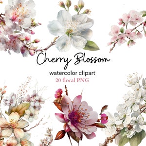 Aquarell Blumen PNG: Cherry Blossom and Pink Blush Pastel Flower Clipart für Scrapbooking und Einladungen