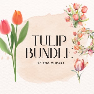 Watercolor Tulip Clipart Bundle PNG - Commercial Use Clipart, Digital Download, Spring Flowers, Spring Floral, Commercial Use,