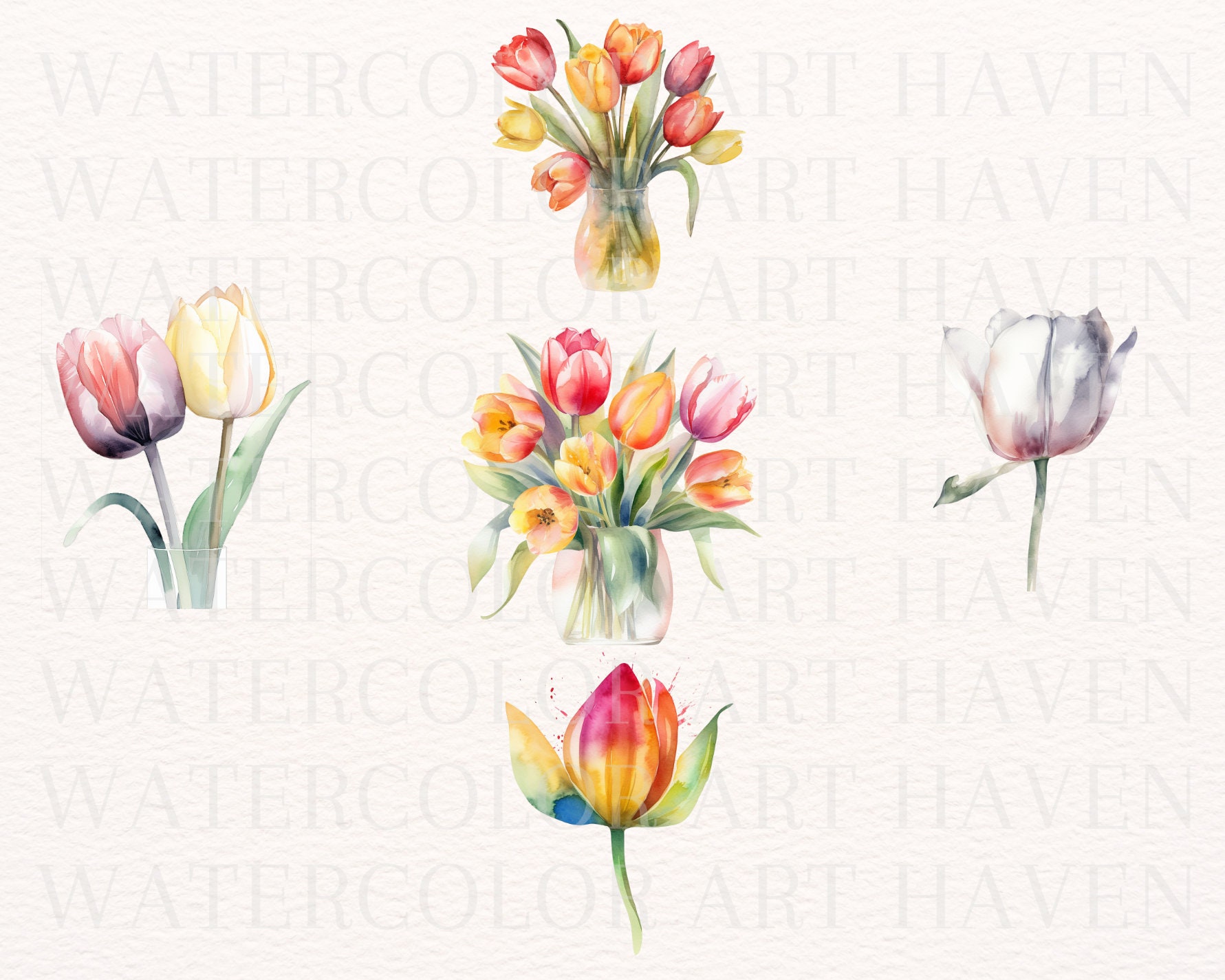 Watercolor Tulip Clipart Bundle PNG - Commercial Use Clipart, Digital ...