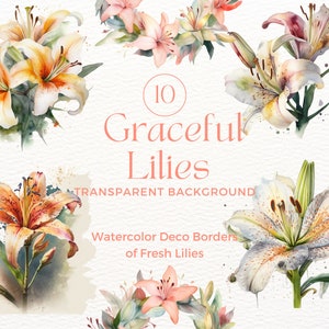 Watercolor Lilies Clipart - Lilies in PNG format instant download for commercial use- flower clipart- floral clipart-watercolor flowers