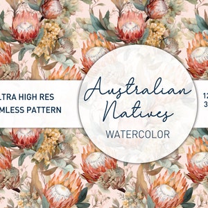 May include: A seamless pattern featuring watercolor illustrations of Australian native flowers, including proteas, eucalyptus leaves, and other foliage. The pattern is in shades of red, orange, yellow, and green on a light pink background. The text "Australian Natives Watercolor" is included in the image.