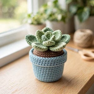 Peut inclure: Une plante succulente crochetée avec des feuilles vert clair disposées en rosette. La plante est placée dans un pot crocheté bleu clair avec une base marron représentant la terre, le tout présentant une construction en fil texturé.