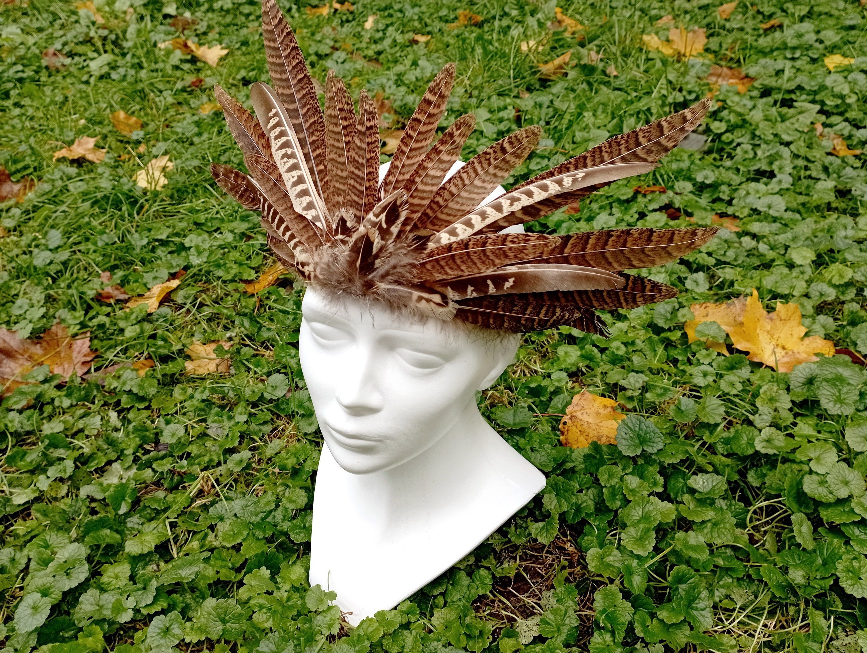 pheasant feather headpiece