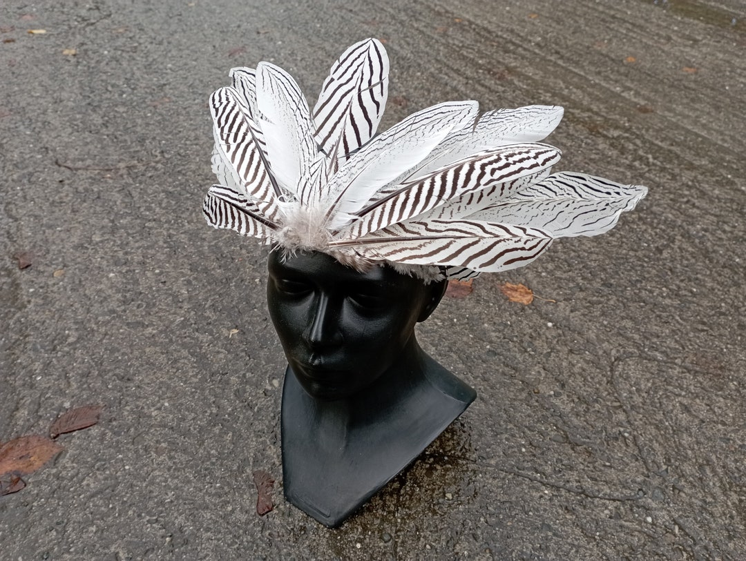 pheasant feather headpiece