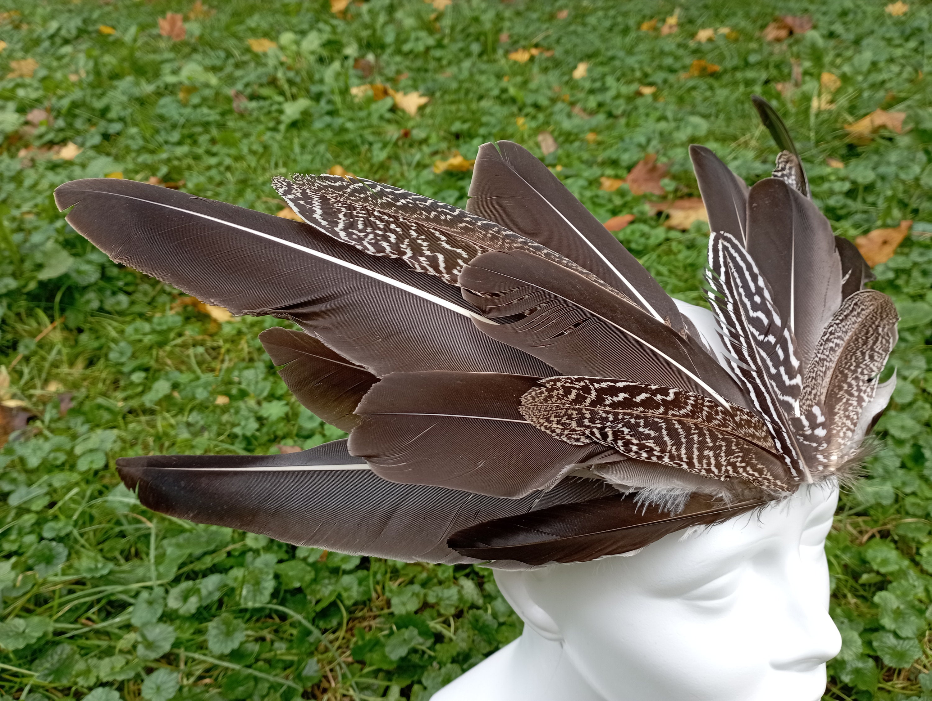 pheasant feather headpiece