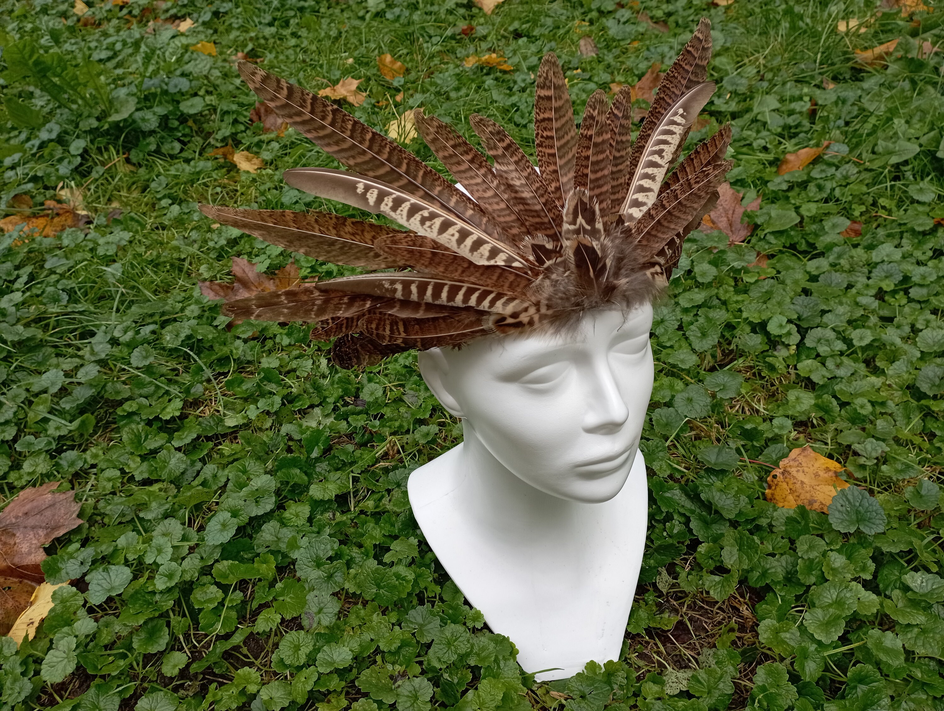 pheasant feather headpiece