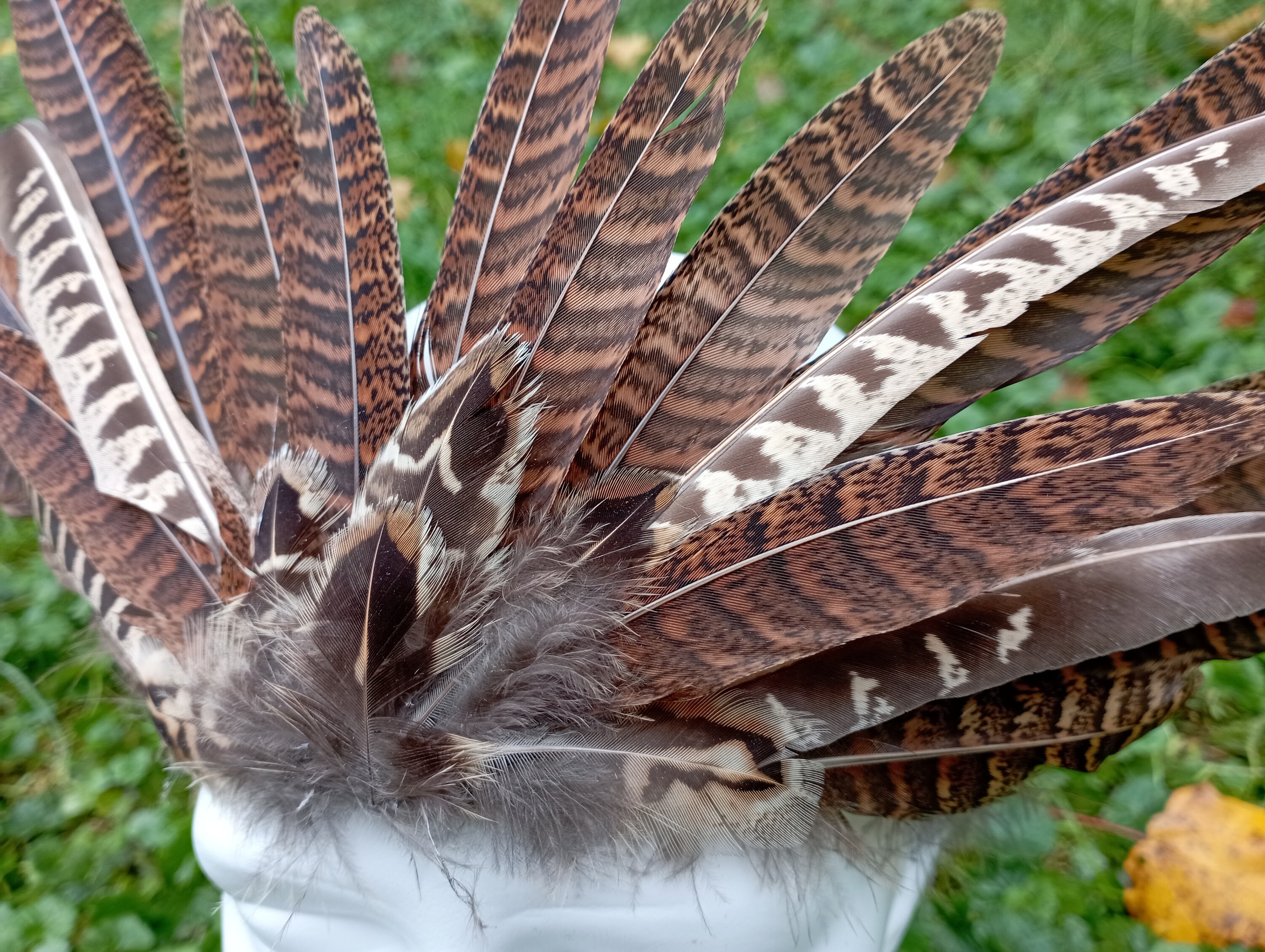 pheasant feather headpiece