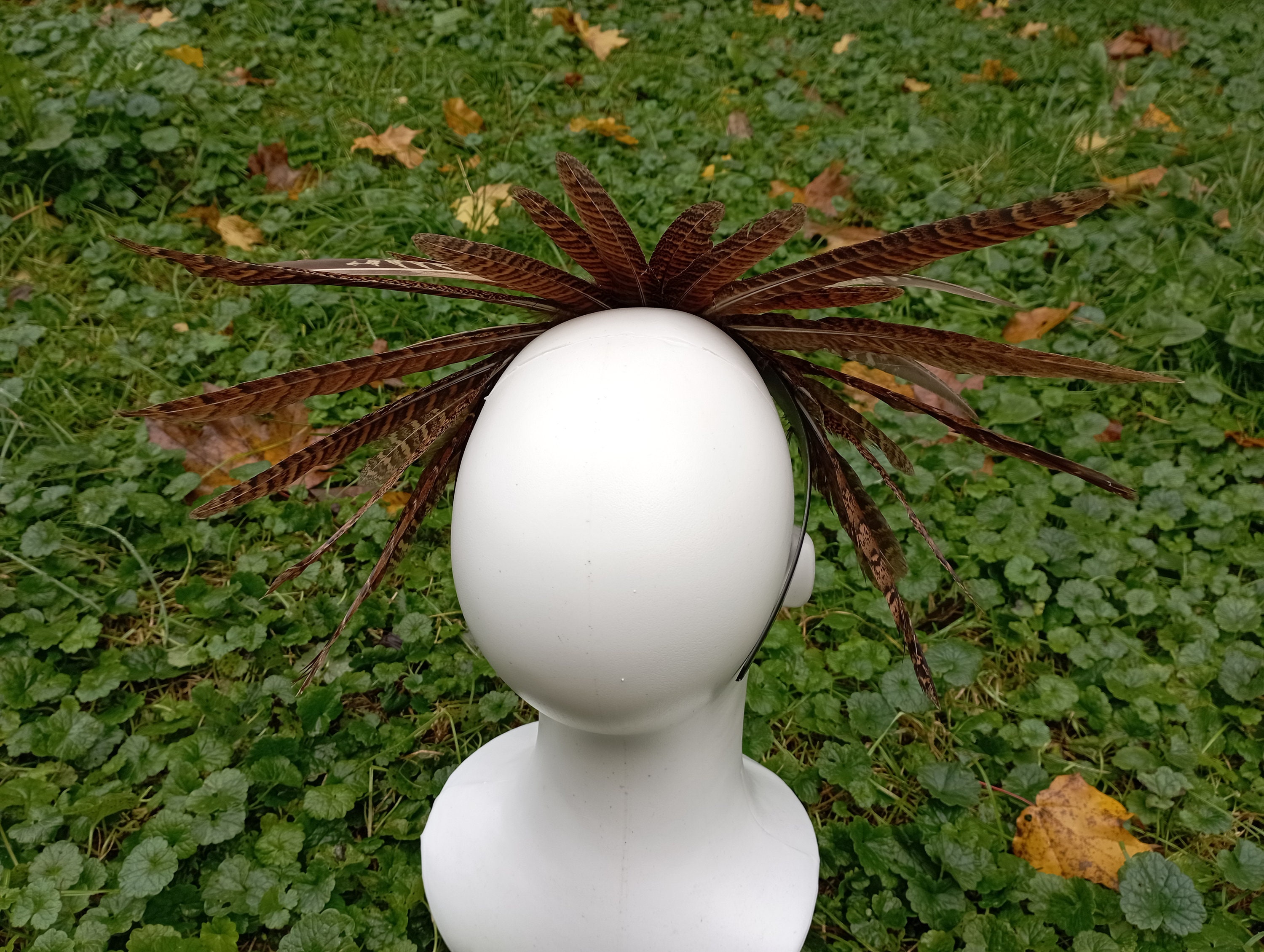 pheasant feather headpiece