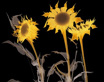 Ghostly Halloween Sunflower Clipart: Transparent PNG (Digital Download)