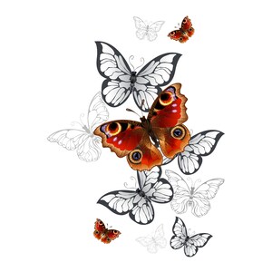 Butterfly Butterflies Wallart Clipart PNG, High Quality Transparent Background File, Direct Print Sublimation