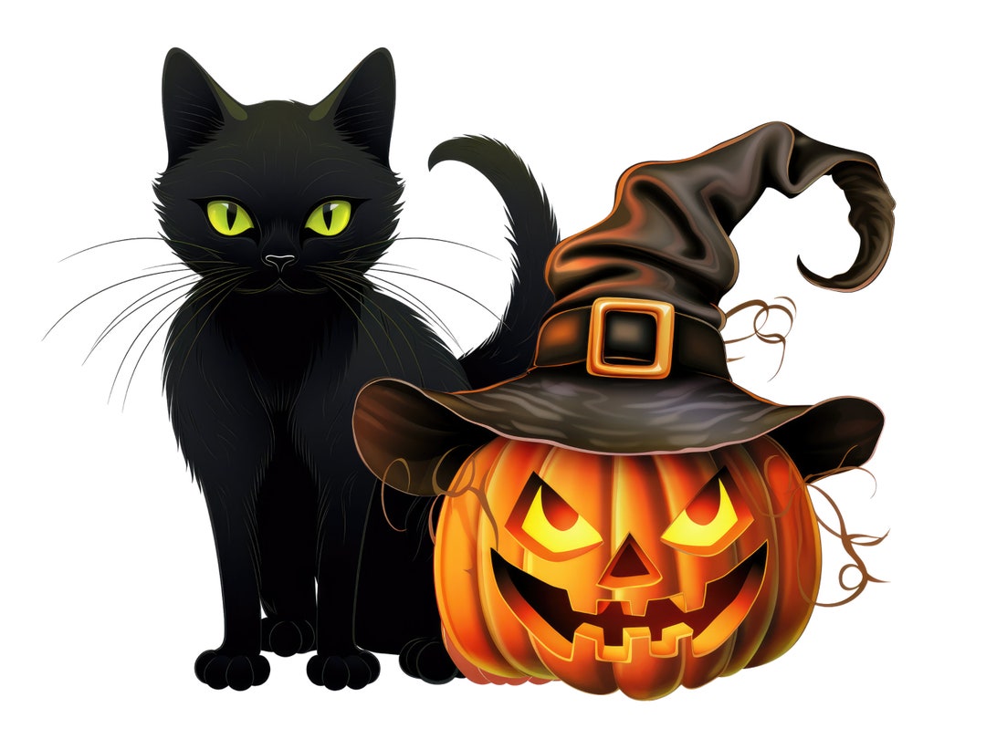 Black Cat Pumpkin Witches Hat, Halloween Clipart, High Quality Pngs