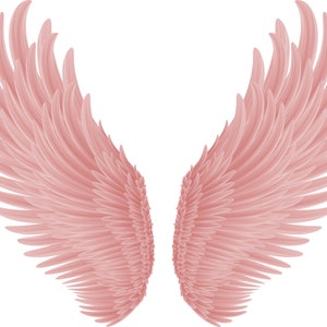 Pretty Pink Angel Wings PNG Transparent Sublimation Digital Files - Etsy