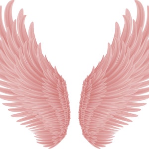 Pretty Pink Angel Wings PNG Sublimación transparente Archivos digitales