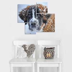Pet Wall Design from Photo, St. Bernard Wall Design, Photo Wall Design, Metal Wall Design from Photo, Canvas Wall Design, Wall Decor