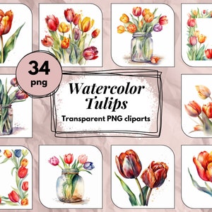 Clipart de tulips en aquarelle - Fleurs rose, tulips rose, fleurs en vase, Pack images, hautes qualités, PNG, usage commercial