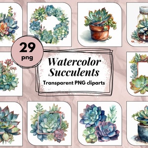 Clipart de succulent en aquarelle - plante succulent, succulents pot, cadre fleuri, Pack 25 images, hautes qualités, PNG, usage commercial