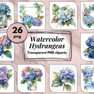 Clipart de Hortensia en aquarelle - Fleurs bleu, Hortensias violet, fleurs en vase, Pack 25 images, hautes qualités, PNG, usage commercial