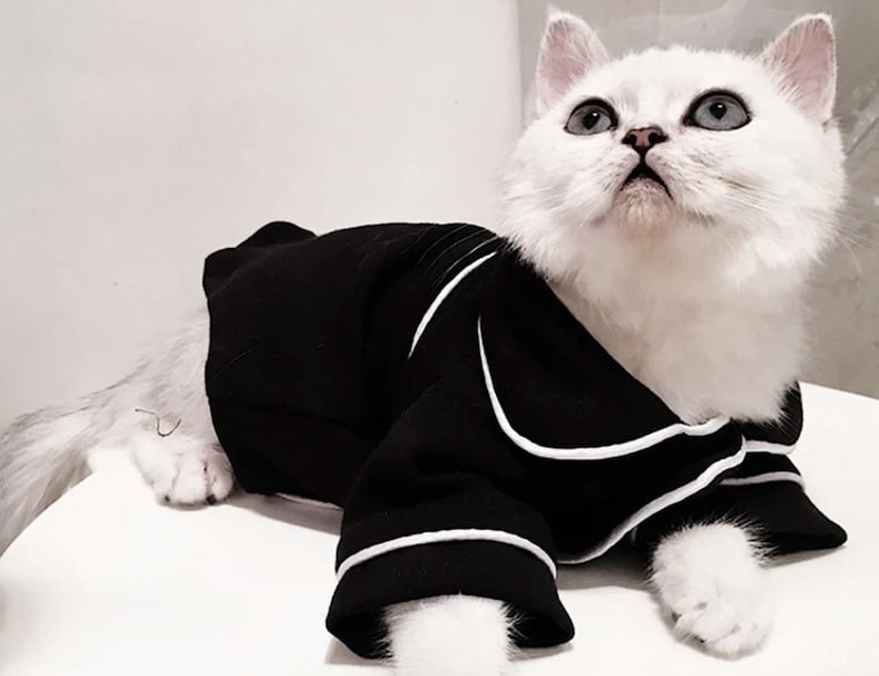 Pajamas for Cats - Etsy Pajamas For Cats - Etsy