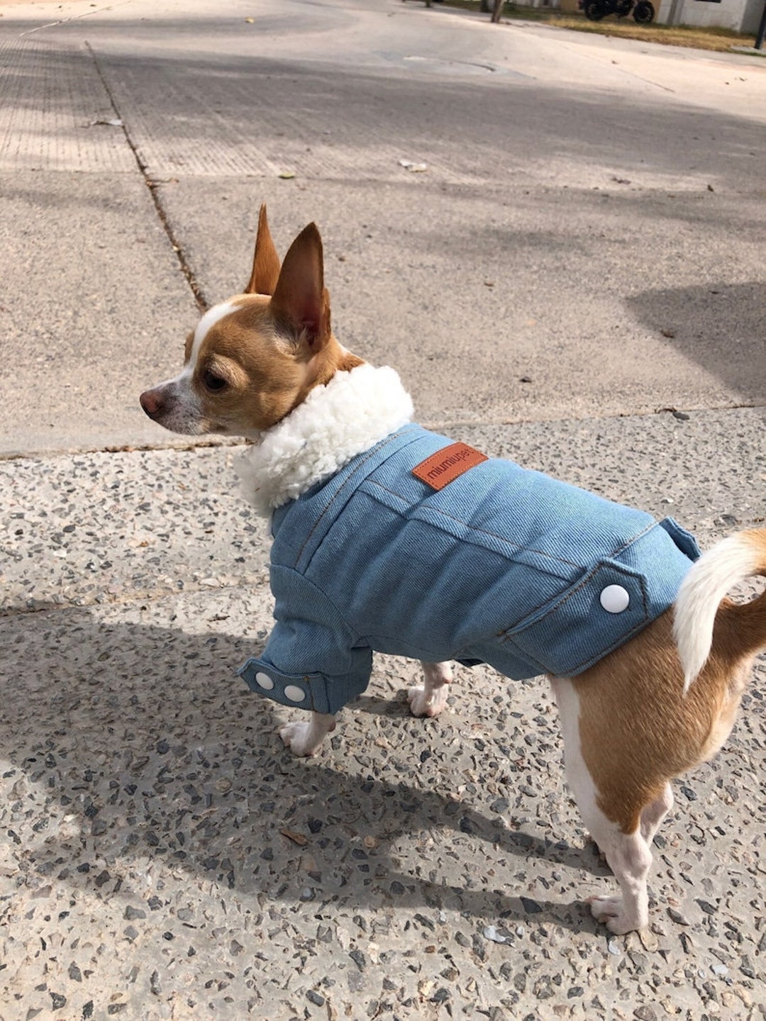 Dog Jean Jacket Jackets for Winter, Warm Coat, Designer Small Clothes