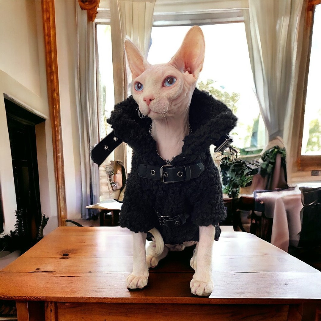 Awesome Cat Coat Velvet Sweater for Sphynx Cat Hairless Cat Clothes