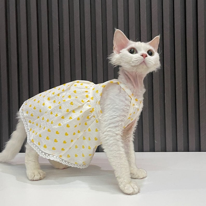 girl cat clothes for cats