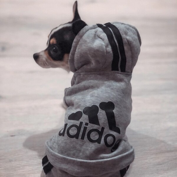 Boy Dog Clothes Etsy