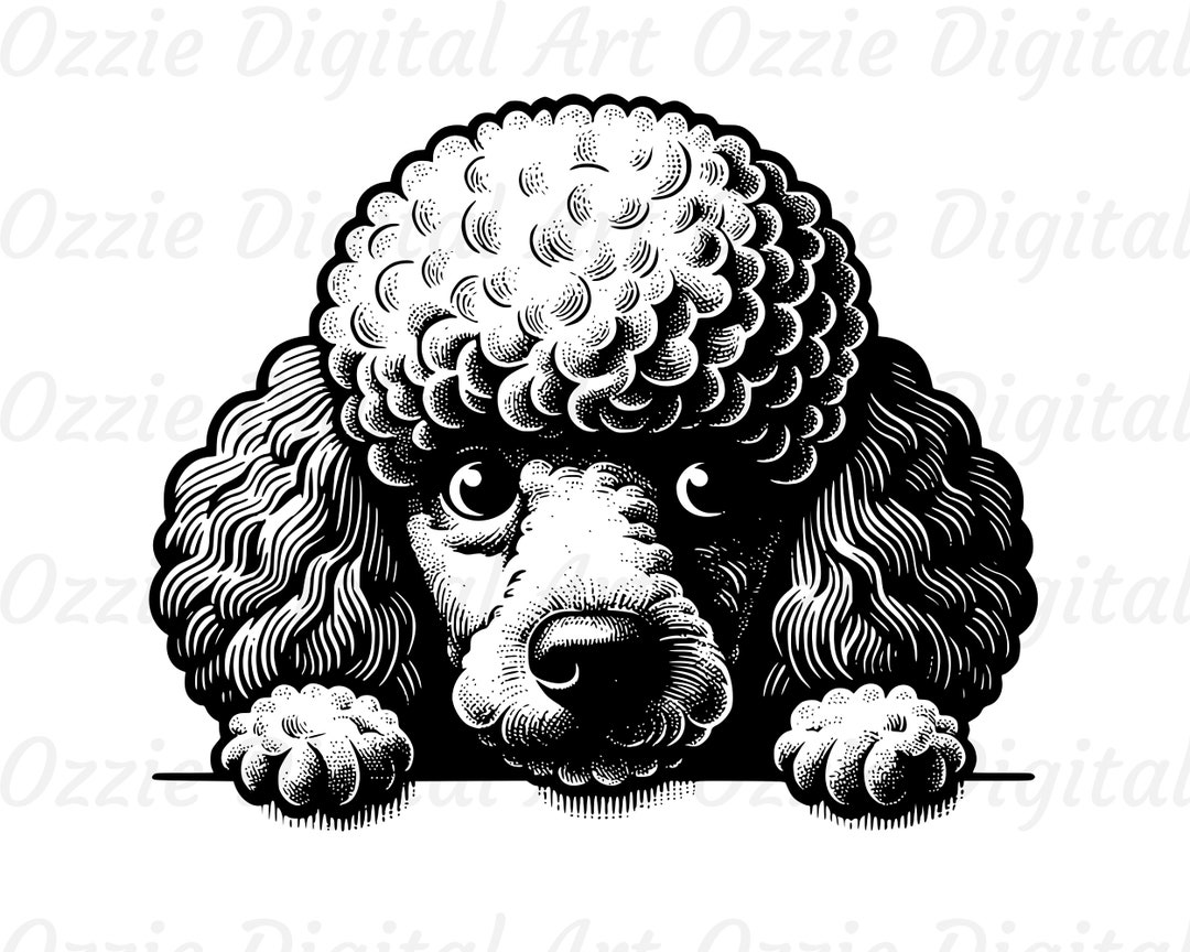 Poodle Peeking Svg & Png, Cute Poodle Clipart, Dog Vector Image, Poodle ...