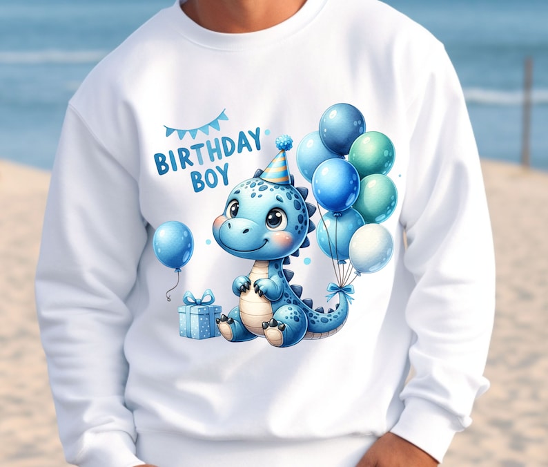 May include: White sweatshirt with a blue dinosaur wearing a party hat and holding balloons. The text "Birthday Boy" is printed on the shirt.