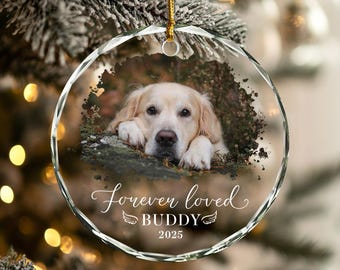 Décoration personnalisée en photo commémorative d'un animal de compagnie : cadeau de sympathie pour chien, amoureux des chiens